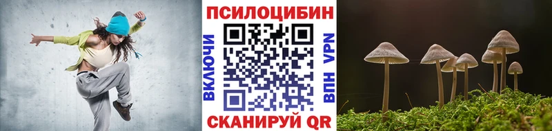Галлюциногенные грибы Psilocybine cubensis Новоузенск